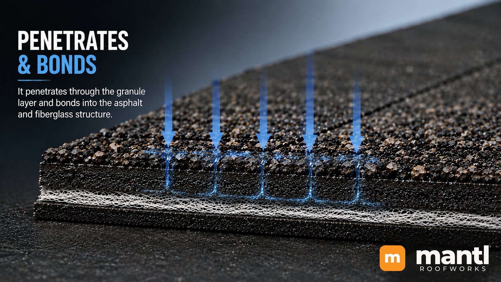 The coating penetrates the granule layer and bonds into the asphalt and fiberglass